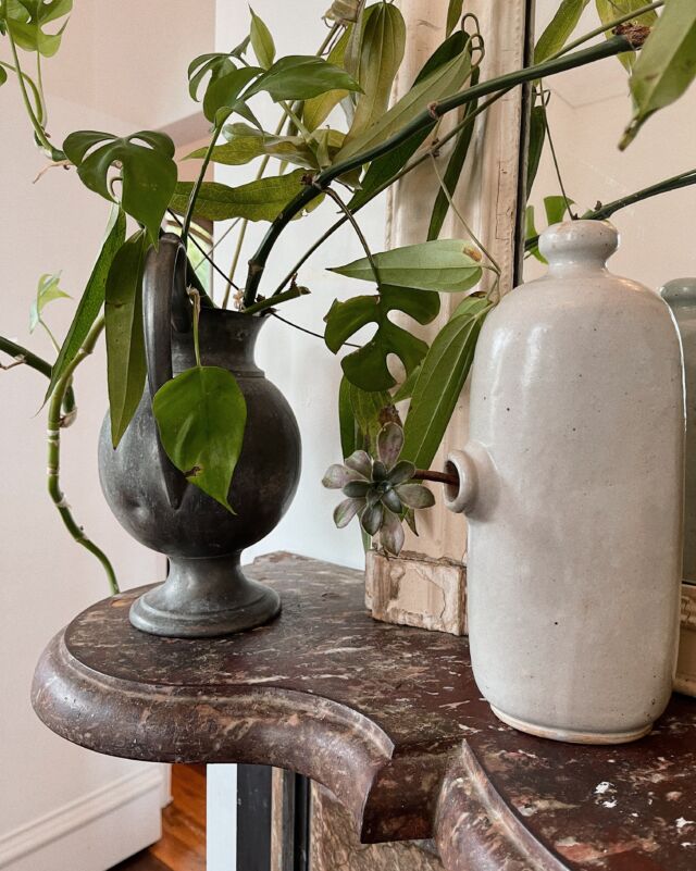 One of our Berkeley studio’s favorite spots is Bay Area tastemaker @ericatanov’s atelier, located in a gorgeous Victorian Italianate building on Fifth Street. We thought it would be nice to round up some photos from our recent(ish) visits for your hump day.

We always find something fresh and stimulating to feed our senses when we drop in. Erica has an extraordinary ability to spark curiosity through her vignettes and styling, and walking through the atelier’s rooms evokes a luscious sensuality that is balanced with thoughtful editing.

Her ongoing relationships with, and support of, some Landed favorites including @lenawolffstudio, @martaelisejohansen, and @arielclute, as well as her political engagement, are only some of the reasons why we enjoy staying up to date on what Erica, Anna, and the rest of their team have cooking down the street from our studio.

It’s a wonderful place to visit if you find yourself in Berkeley, though we recommend checking their website since they run limited hours. Until then, please enjoy our visual musings! 🌿